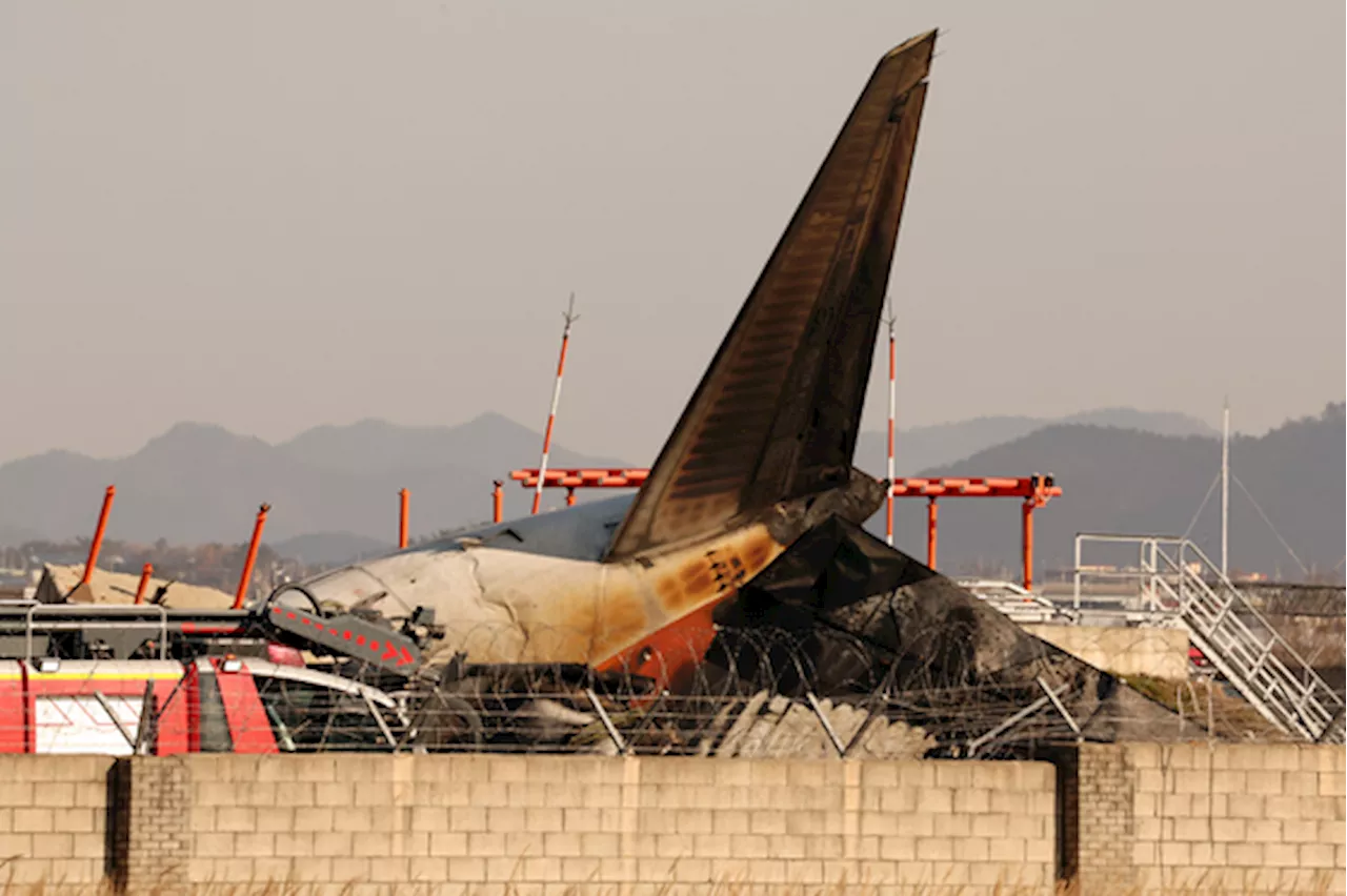 무안국제공항 여객기 추락, 181명 탑승