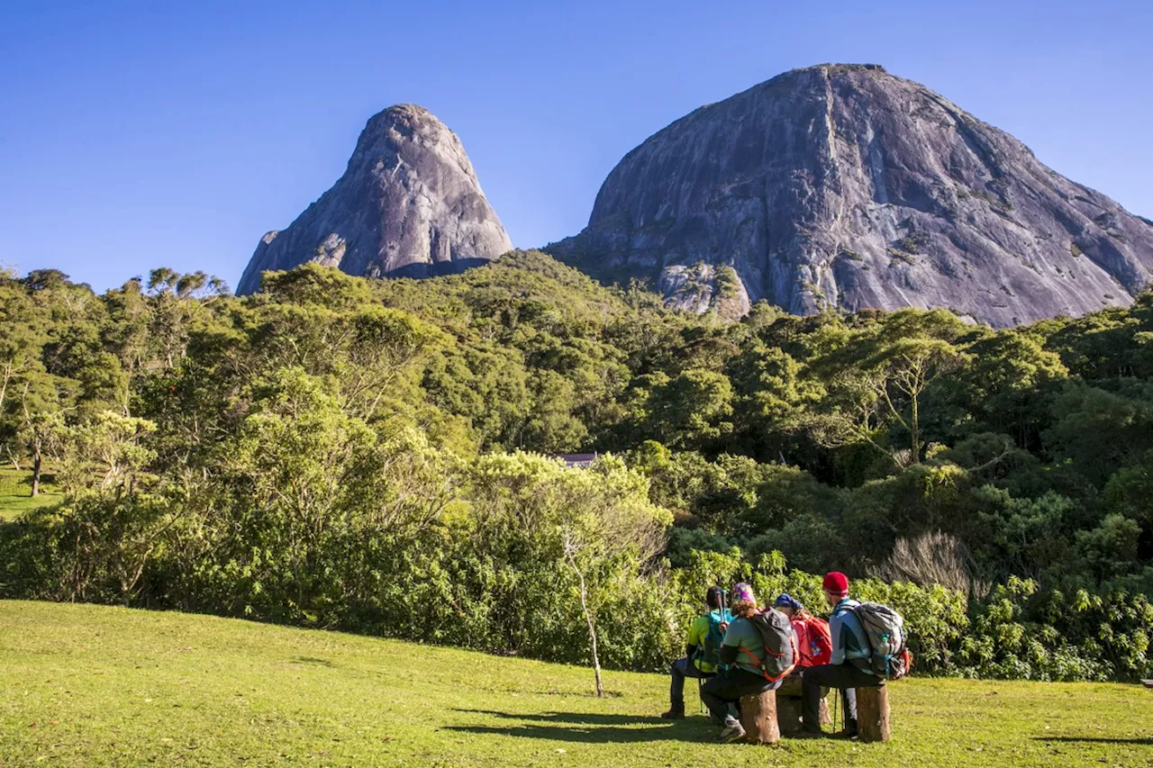 Rio de Janeiro investe em reflorestamento para combater desmatamento e mudanças climáticas