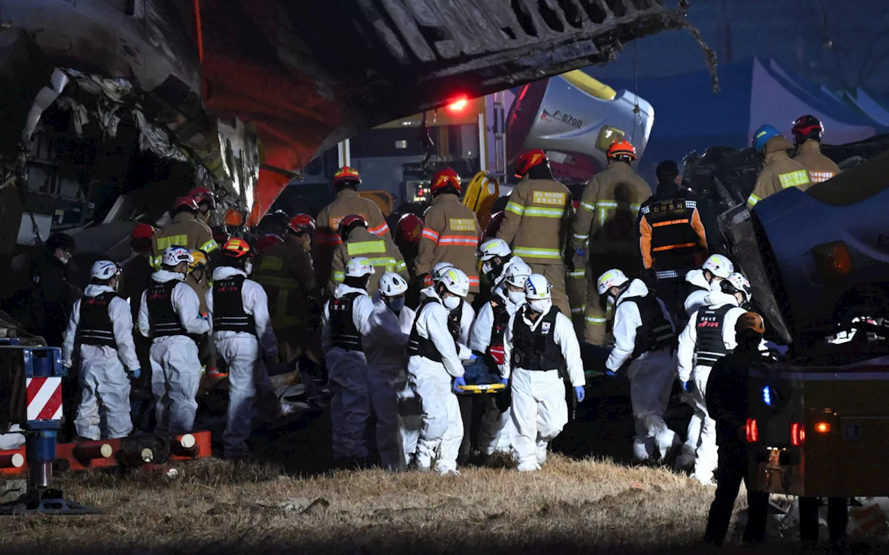 Duas Sobreviventes Resgatadas Após Acidente Aéreo Fatal na Coreia do Sul