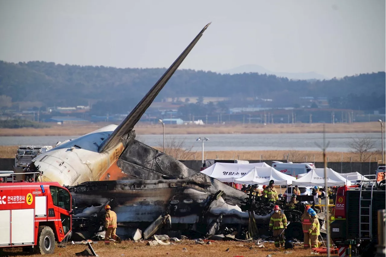 Avião Jeju Air cai na Coreia do Sul, matando 177 pessoas