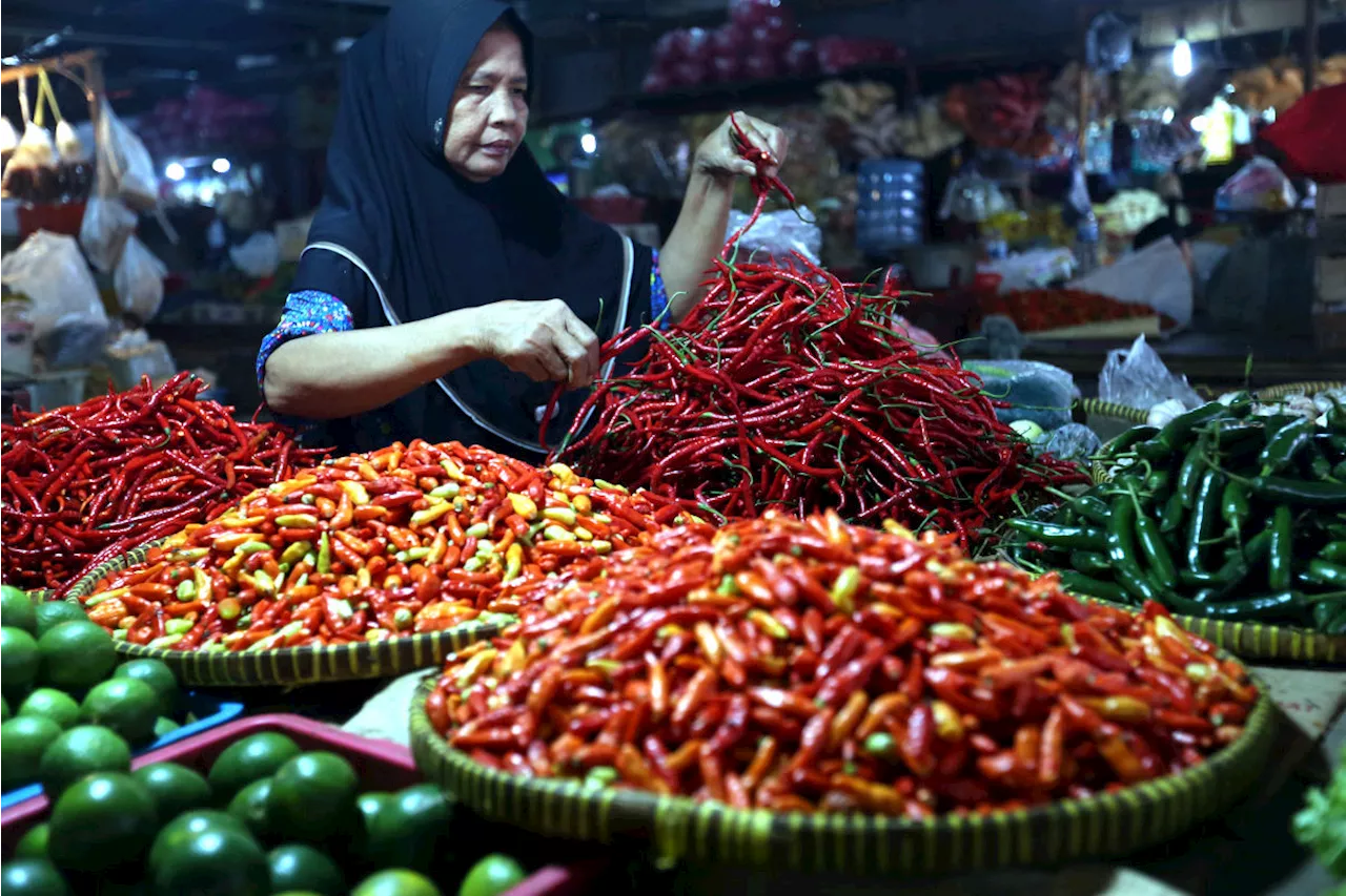 Harga Pangan Umum Turun