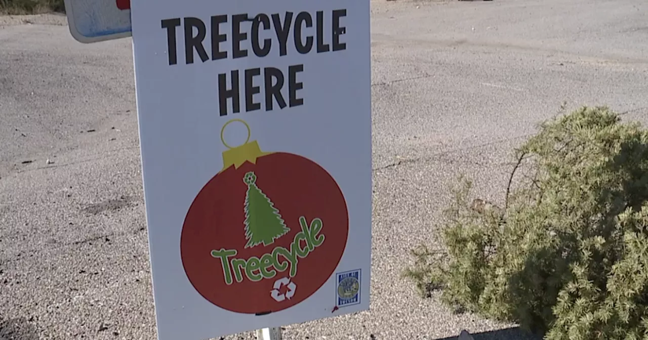 Put trash in its place: properly dispose of any holiday-related items