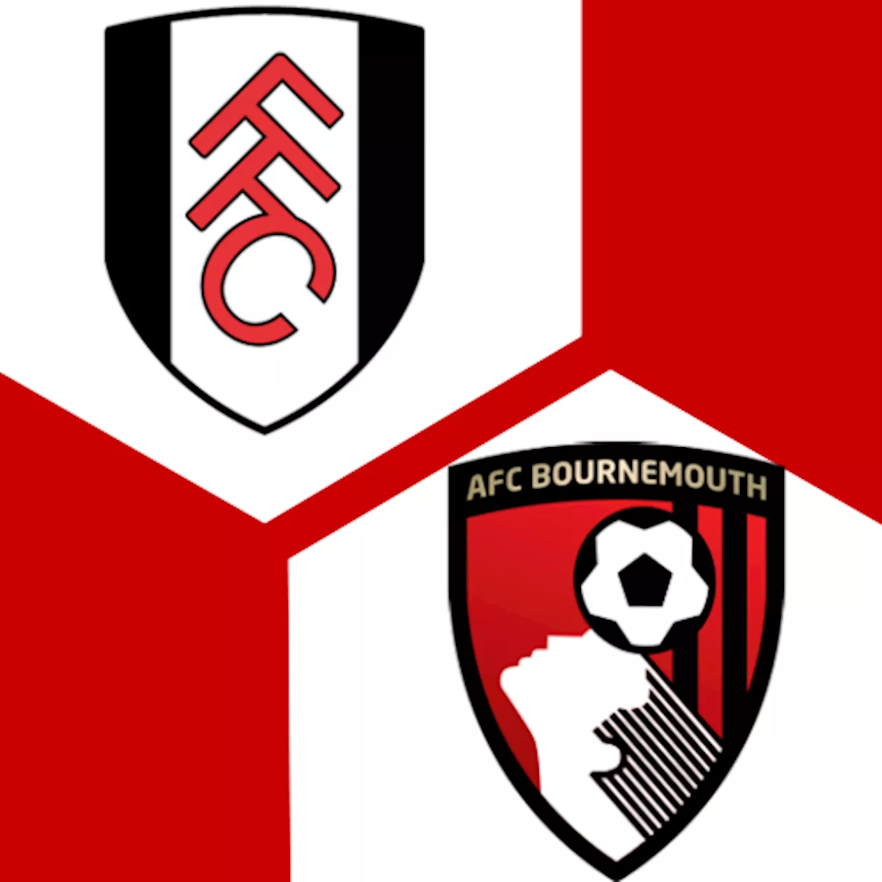 AFC Bournemouth 2:2 | 19. Spieltag