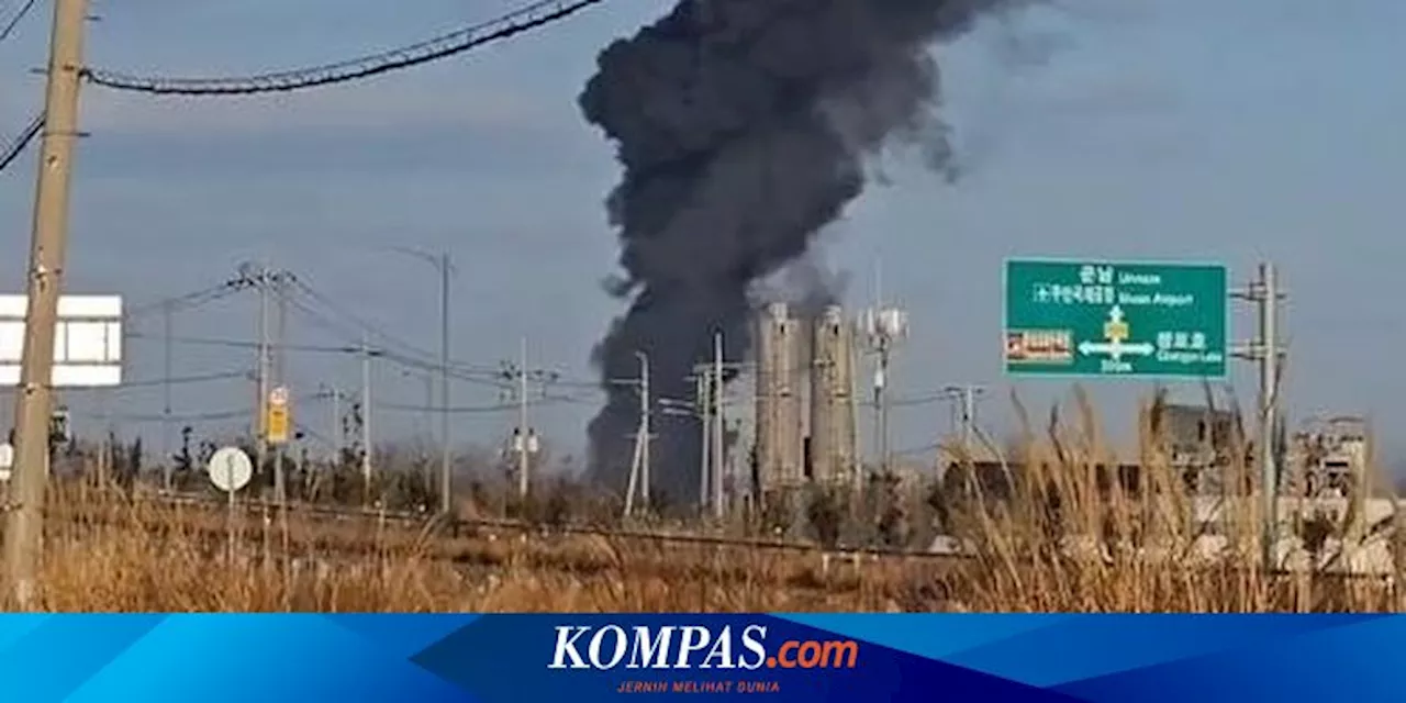 Pesawat Jeju Air Jatuh di Bandara Muan Korea Selatan