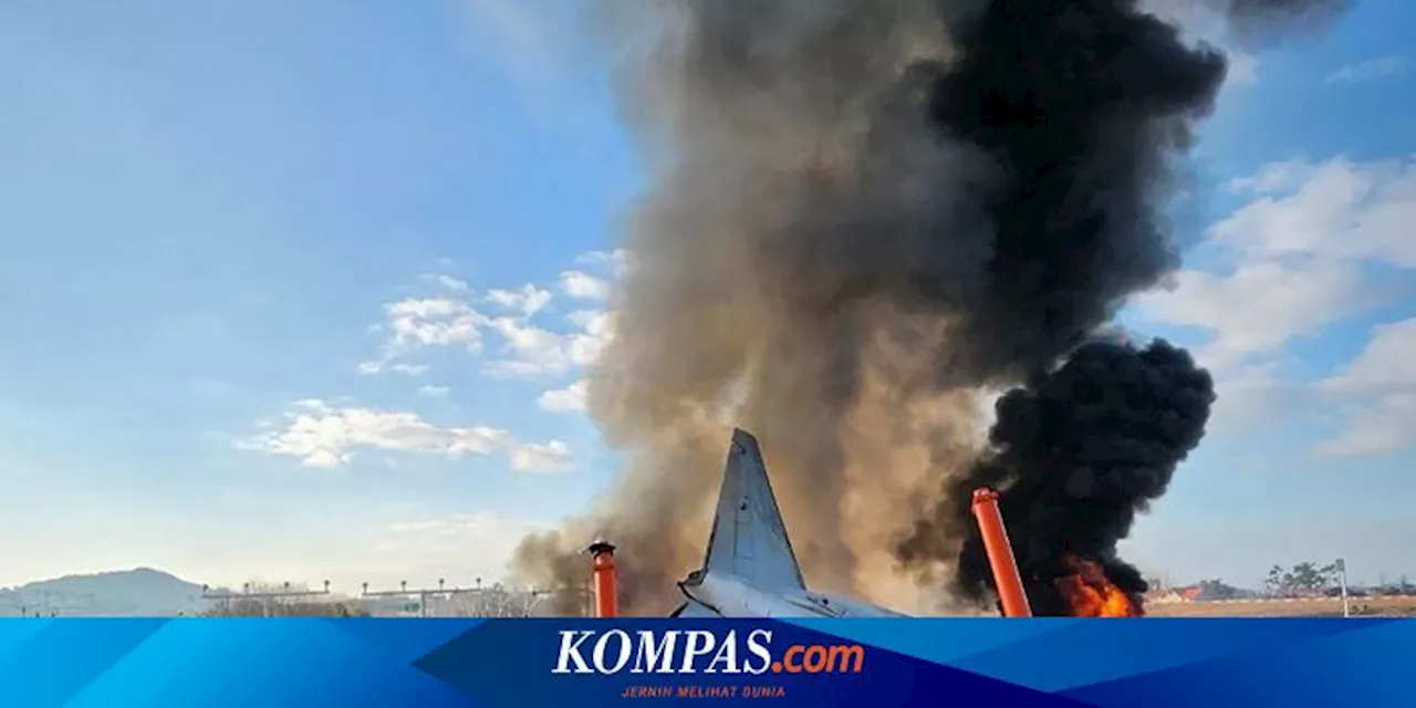 Update Jeju Air Kecelakaan: 124 Orang Tewas, Saksi Mata Ceritakan Detik-detik Kejadian