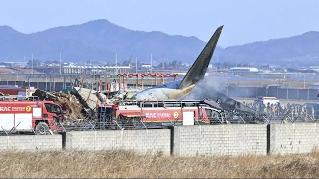 Korban Kecelakaan Pesawat Jeju Air di Korea Selatan Meningkat Menjadi 167 Orang