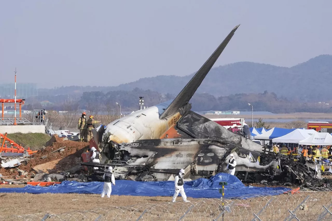 Crash d’un avion en Corée du Sud : les prières du pape François pour les victimes