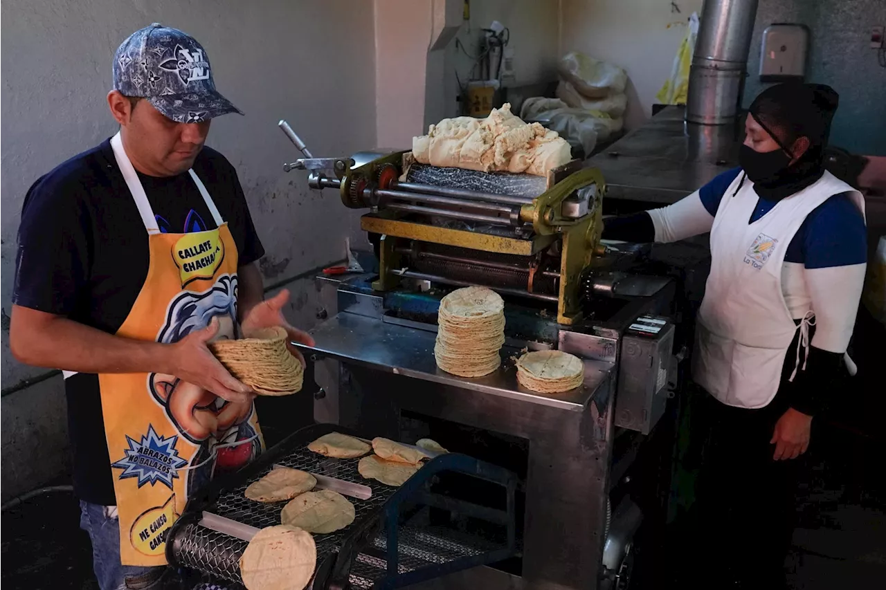 Alerta por aumento en el precio de la tortilla a partir de 2025