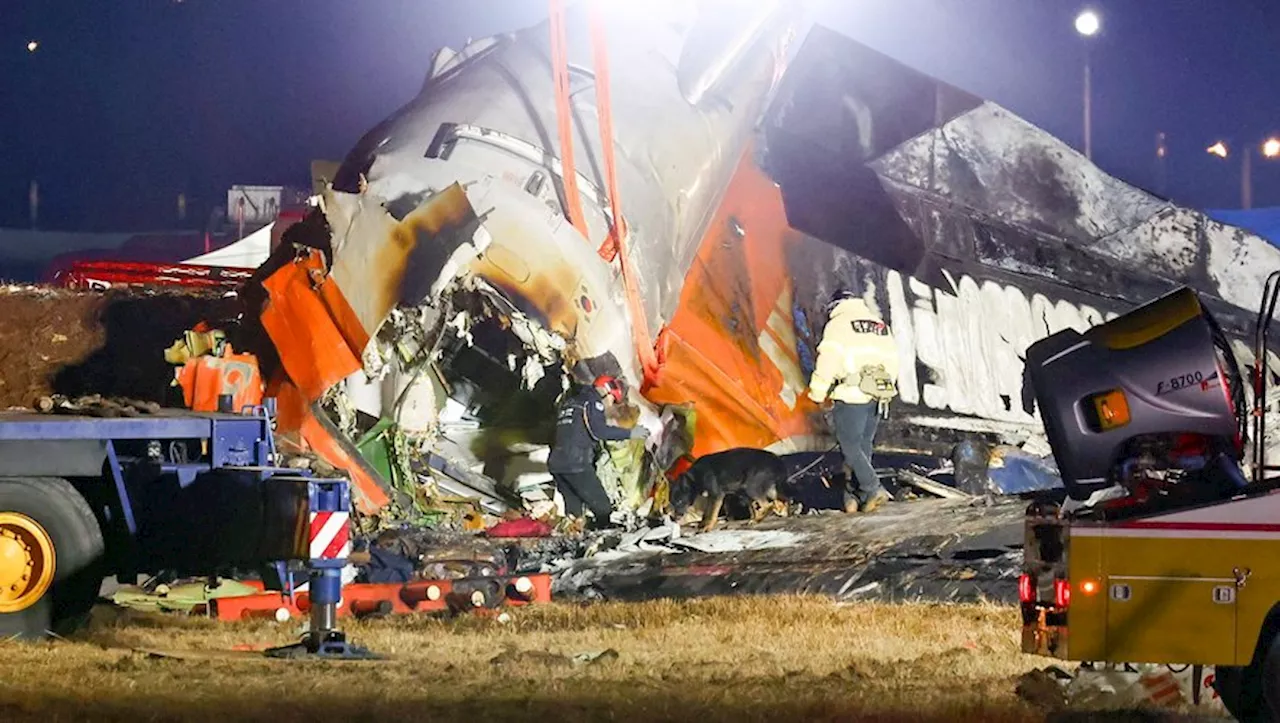 Crash aérien en Corée du Sud : 179 morts