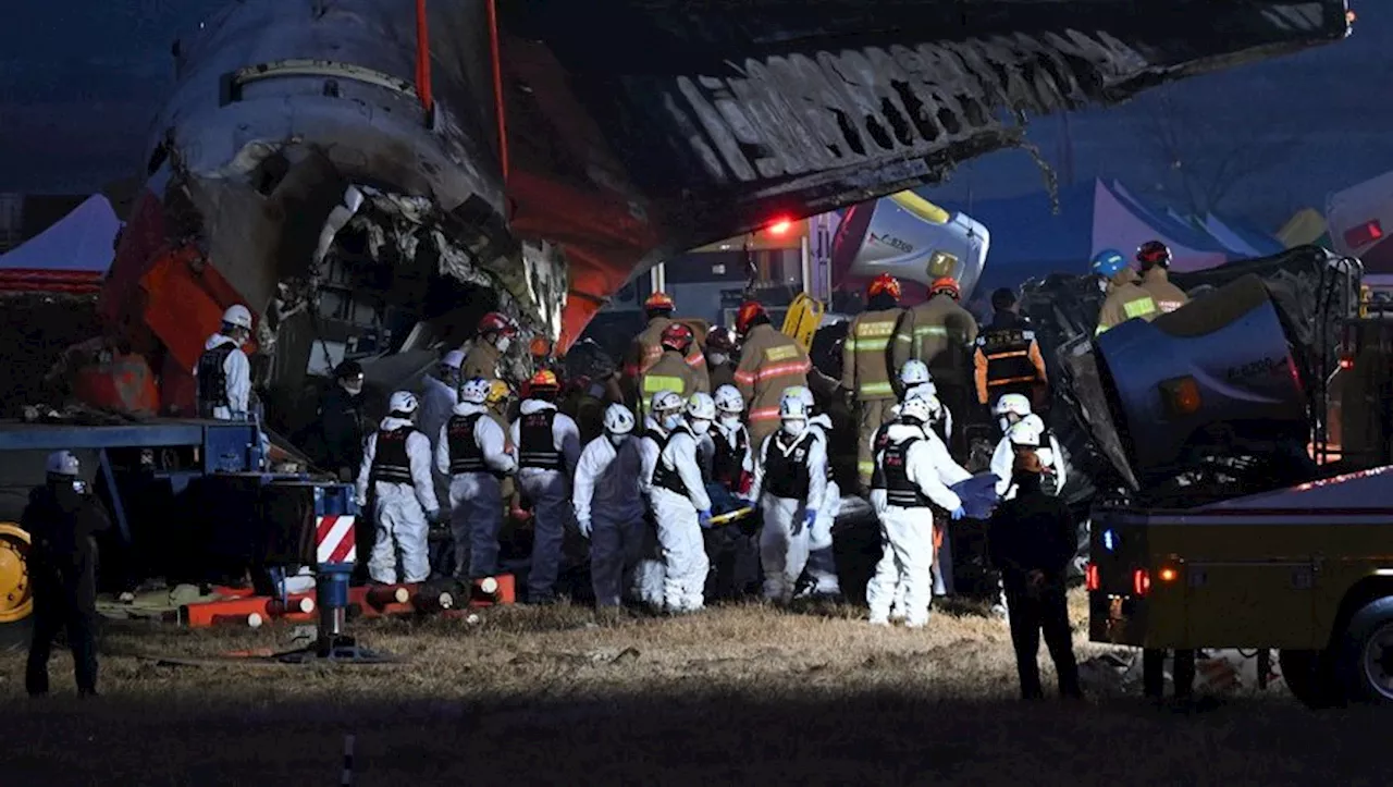 Deux Miraculés Sont les Seuls Survivants d'un Crash d'Avion en Corée du Sud