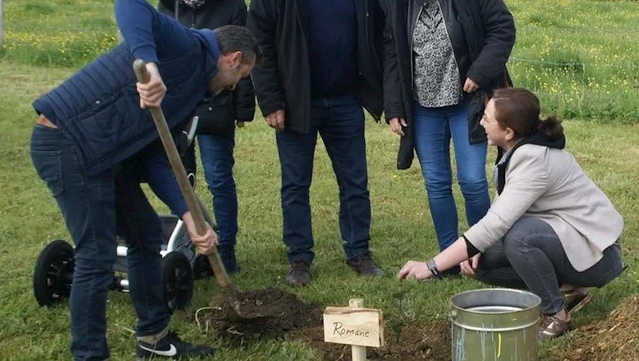 La vie célébrée à Vic-Fezensac avec l’opération « Mon arbre à moi »