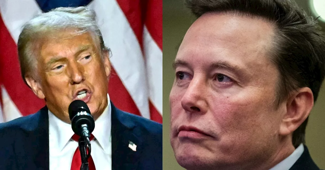 Trump respalda visas tecnológicas extranjeras de Elon Musk