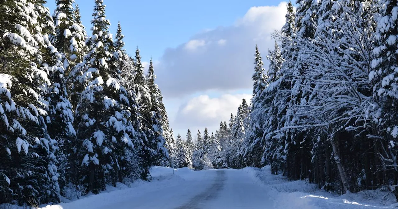 La météo du lundi 30 décembre : grisaille sur la majeure partie du pays, grand soleil en montagne