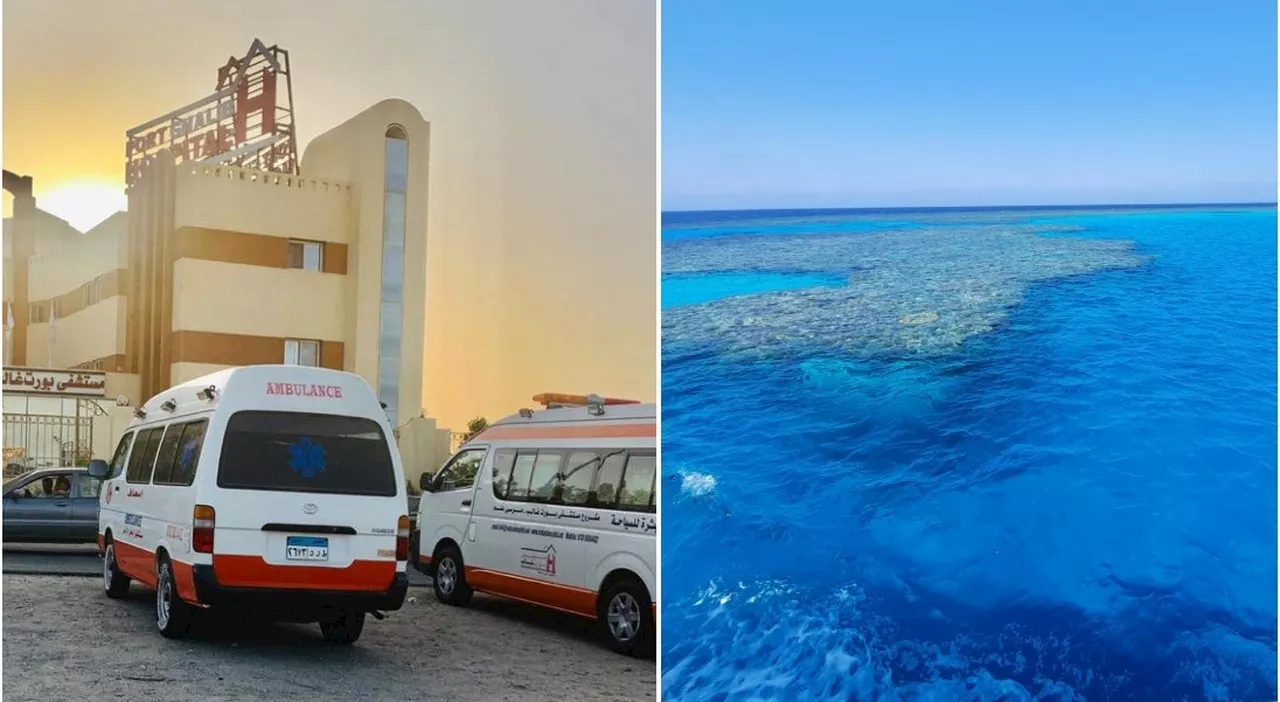 Italiano Ferito in Attacco di Squalo a Marsa Alam