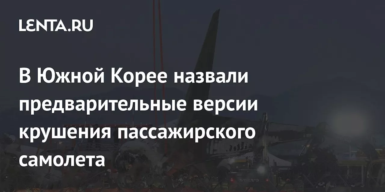 Крушение Boeing в Южной Корее: три версии причин