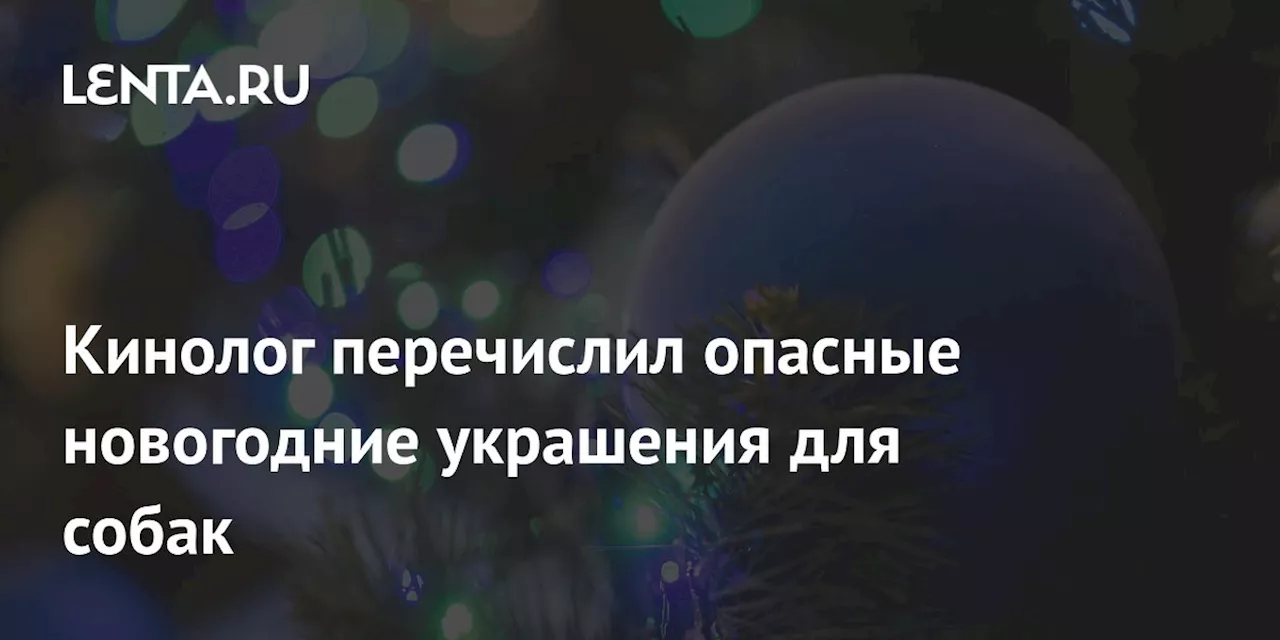 Новогодние украшения опасны для собак