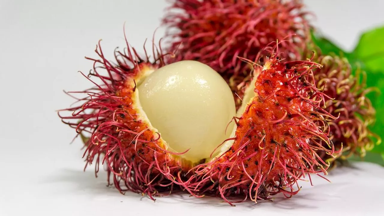 Mimpi Makan Rambutan: Tafsir dan Makna