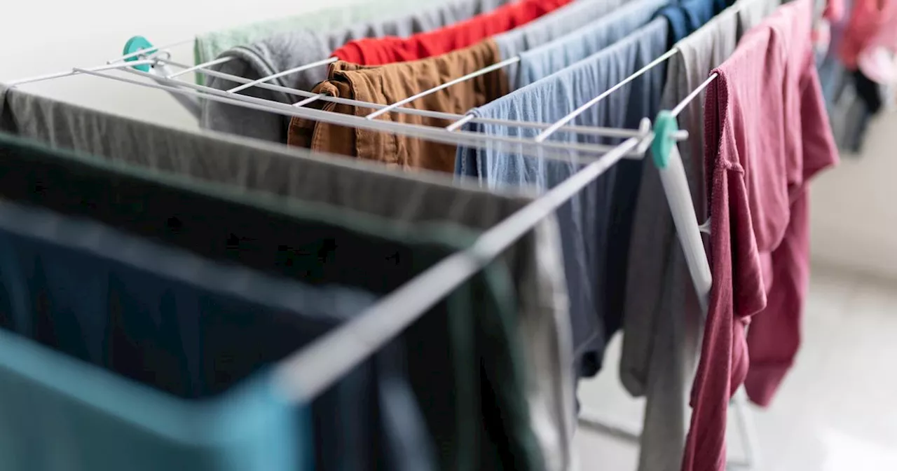 TikToker's Indoor Clothes Drying Hack: Dehumidifier Boxes to Combat Mould