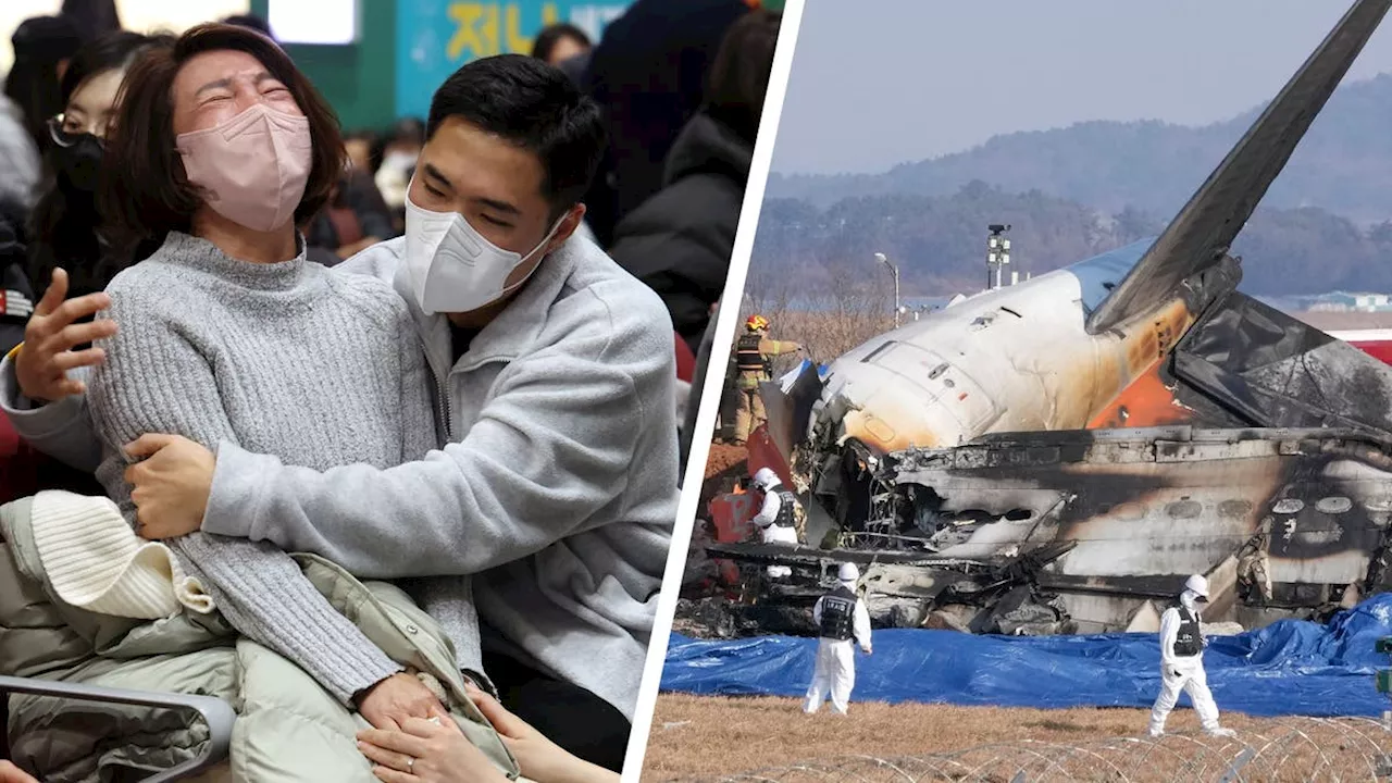 Passagiere wurden aus dem Flieger geschleudert: Fast alle Insassen bei Flugzeugunglück in Südkorea tot