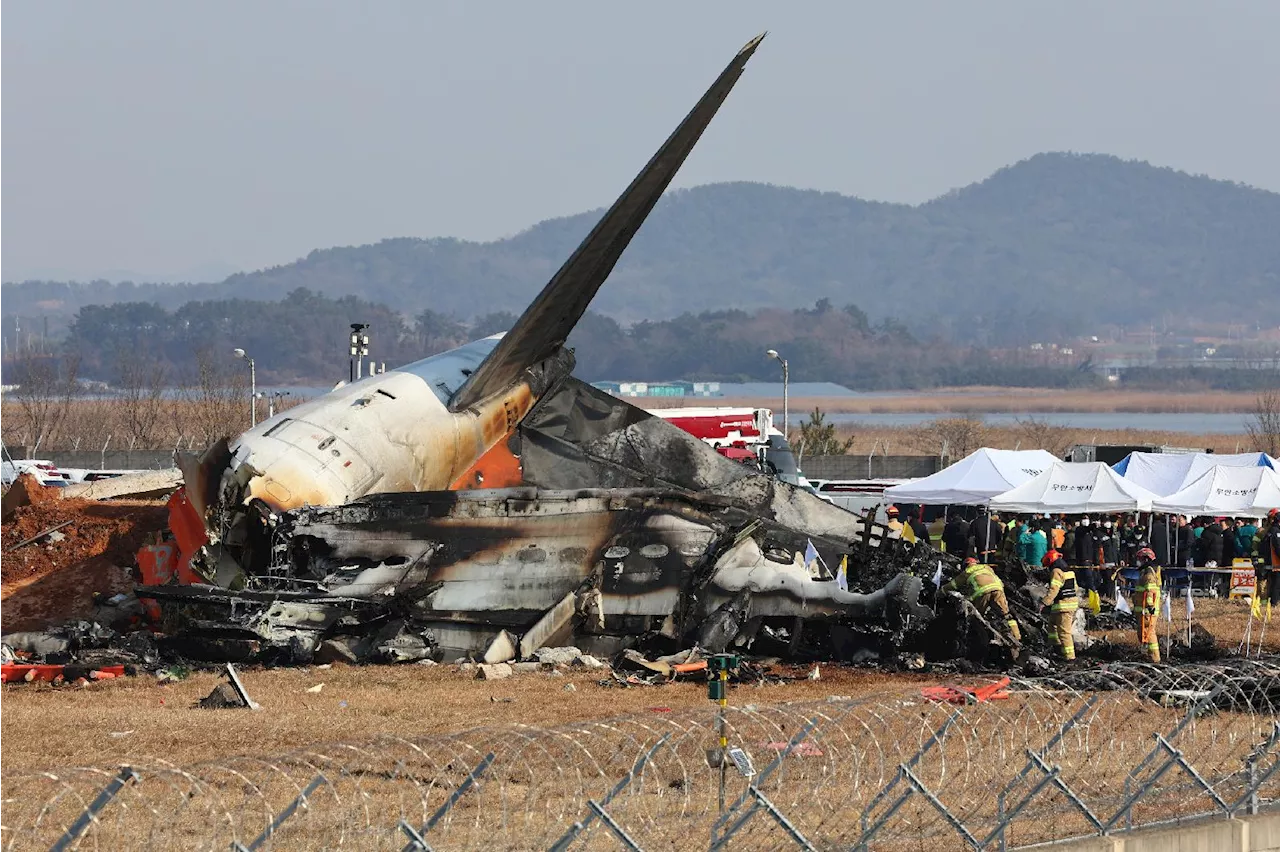 무안공항 여객기 사고, 버드 스트라이크 충돌