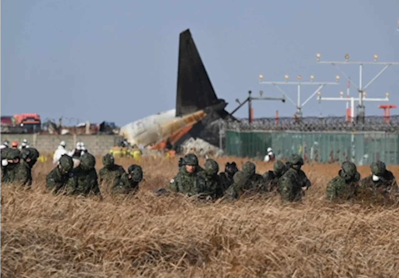 Jeju Air Plane Crashes in South Korea, Leaving Majority Feared Dead