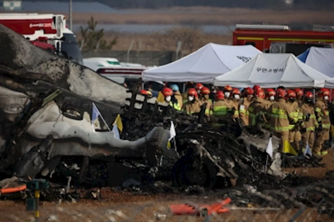 Jeju Air says it ‘sincerely apologises’ after fatal S. Korea plane crash at Muan airport