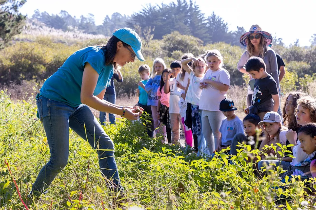 Farm Field Trip Teaches Kids About Nutrition and Science