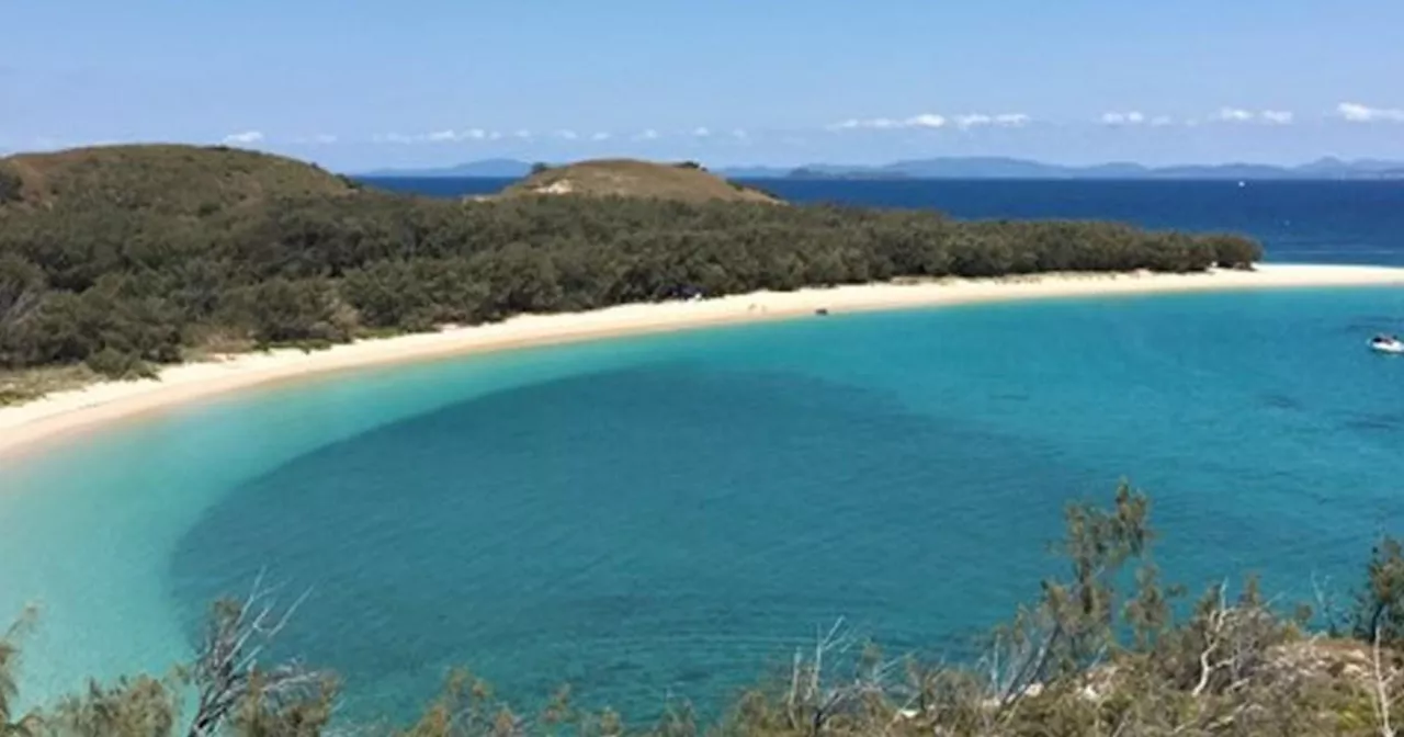 Fisherman killed by shark off coast of Queensland in Australia