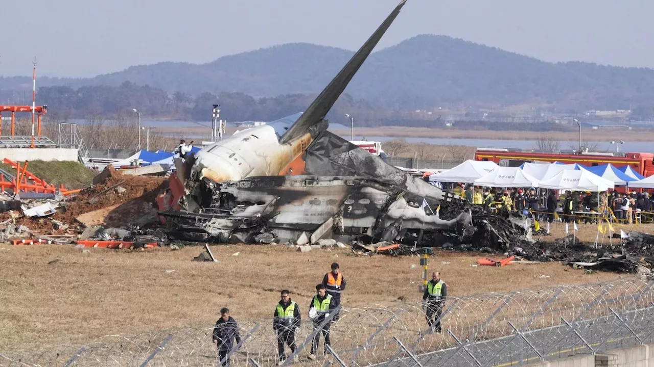 Passagierflugzeug stürzt bei der Landung in Südkorea ab