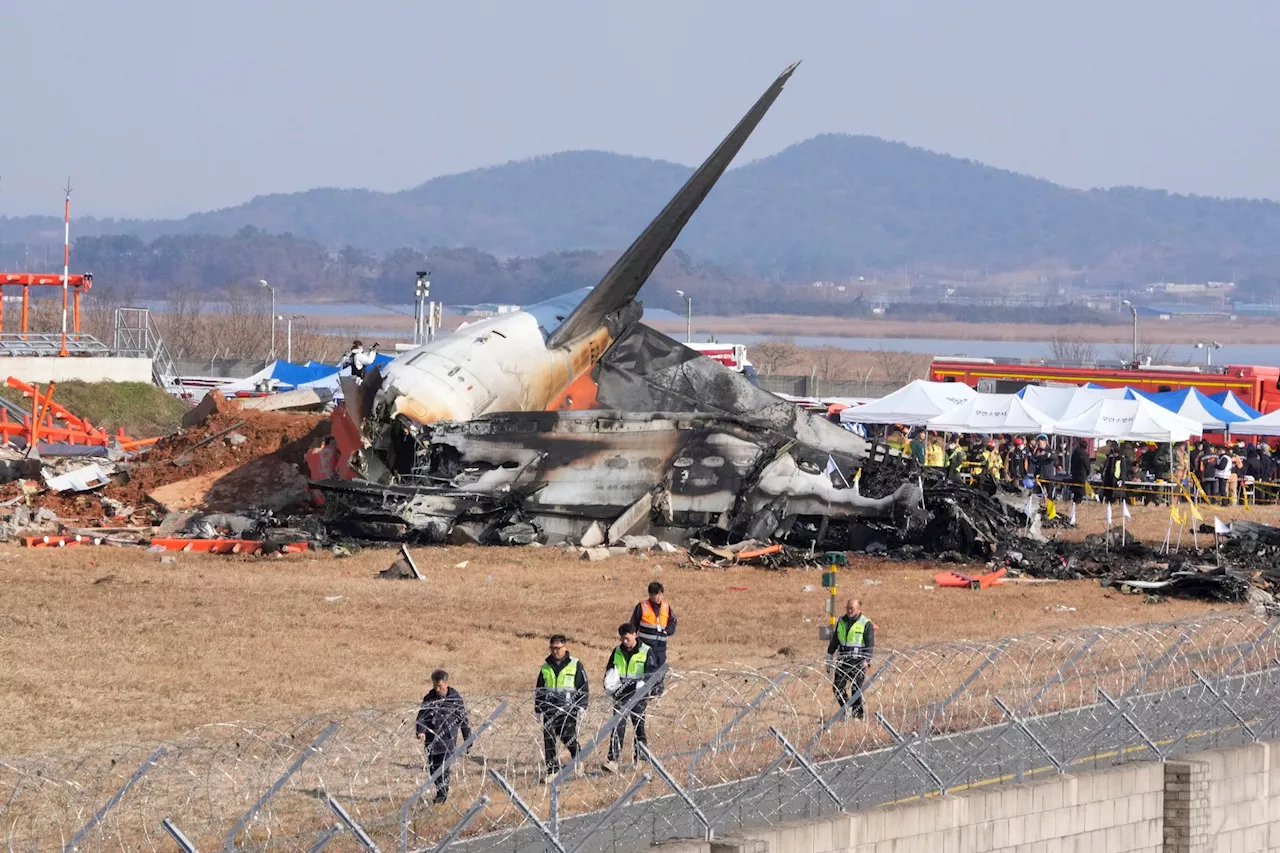 Boeing 737 stürzt in Südkorea ab - Nur zwei Überlebende