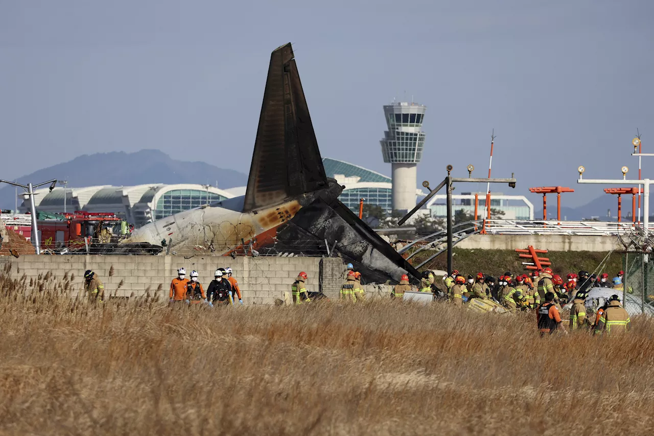 Boeing 737-800 Crashes in South Korea, Killing at Least 174