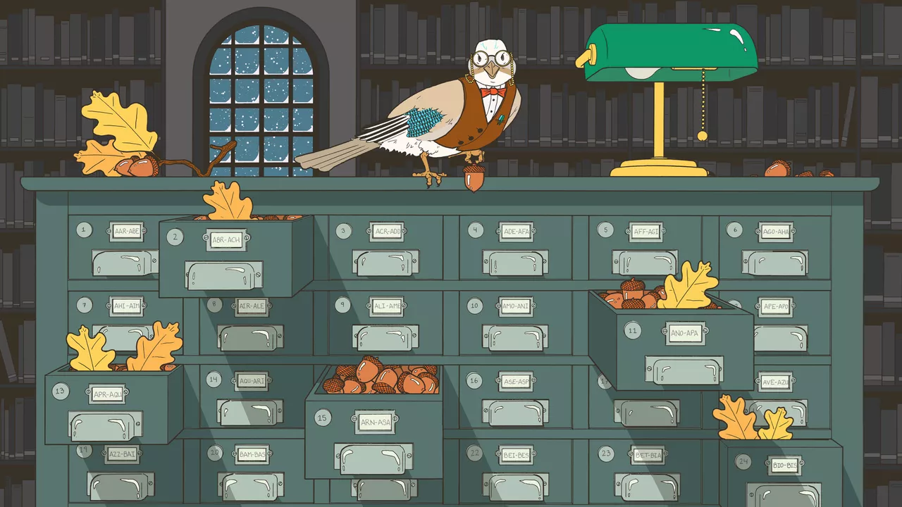 Birds' Remarkable Spatial Memory