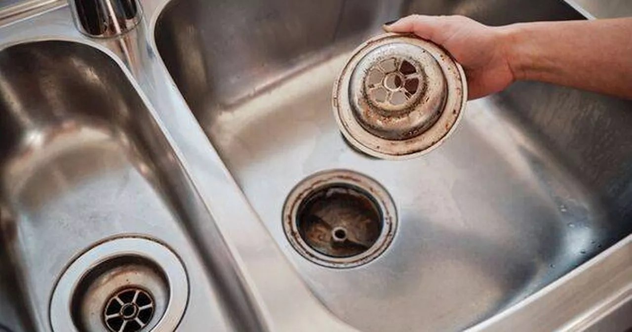 Blocked Drain? Try These DIY Solutions Before Calling a Plumber