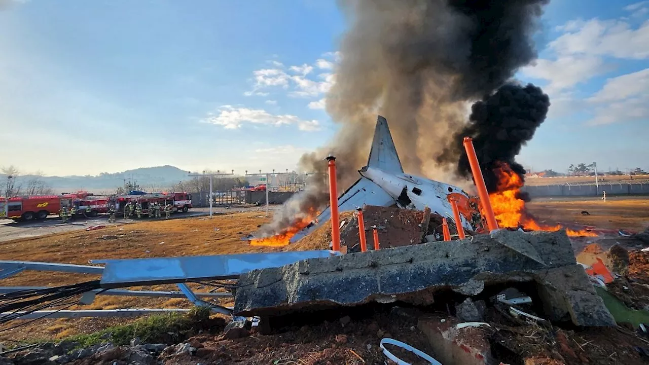 Flugzeugsturz in Südkorea: Nur zwei Überlebende