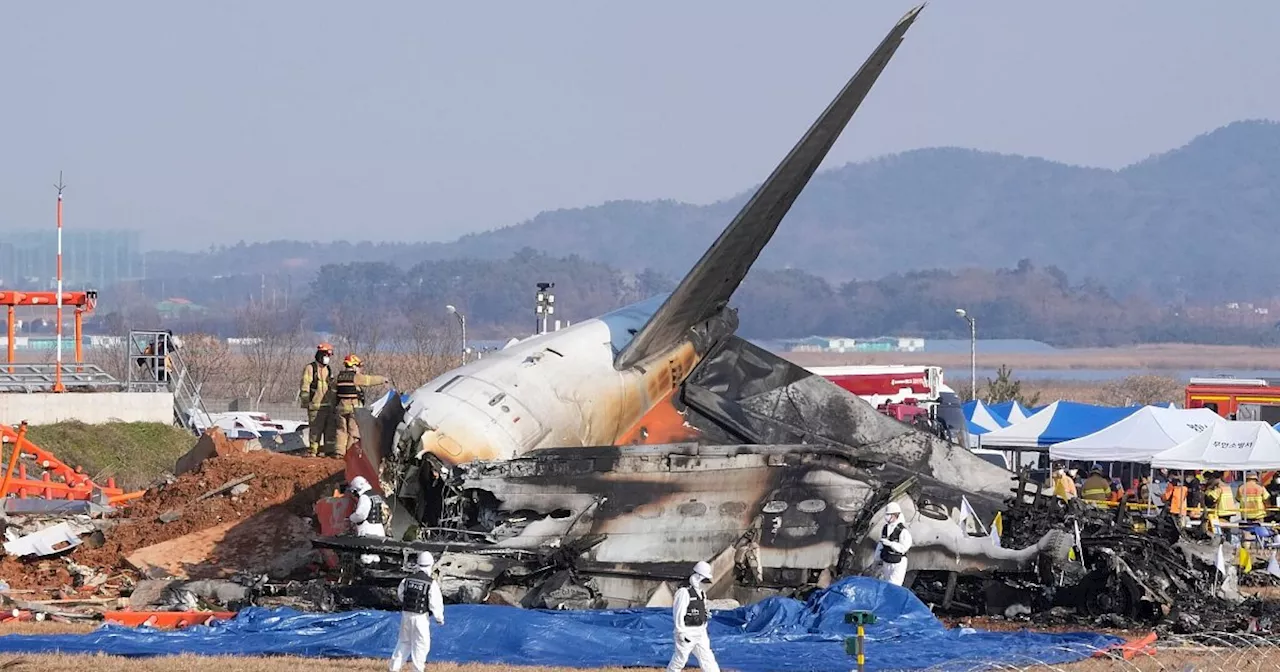 Flugzeug kracht in Südkorea