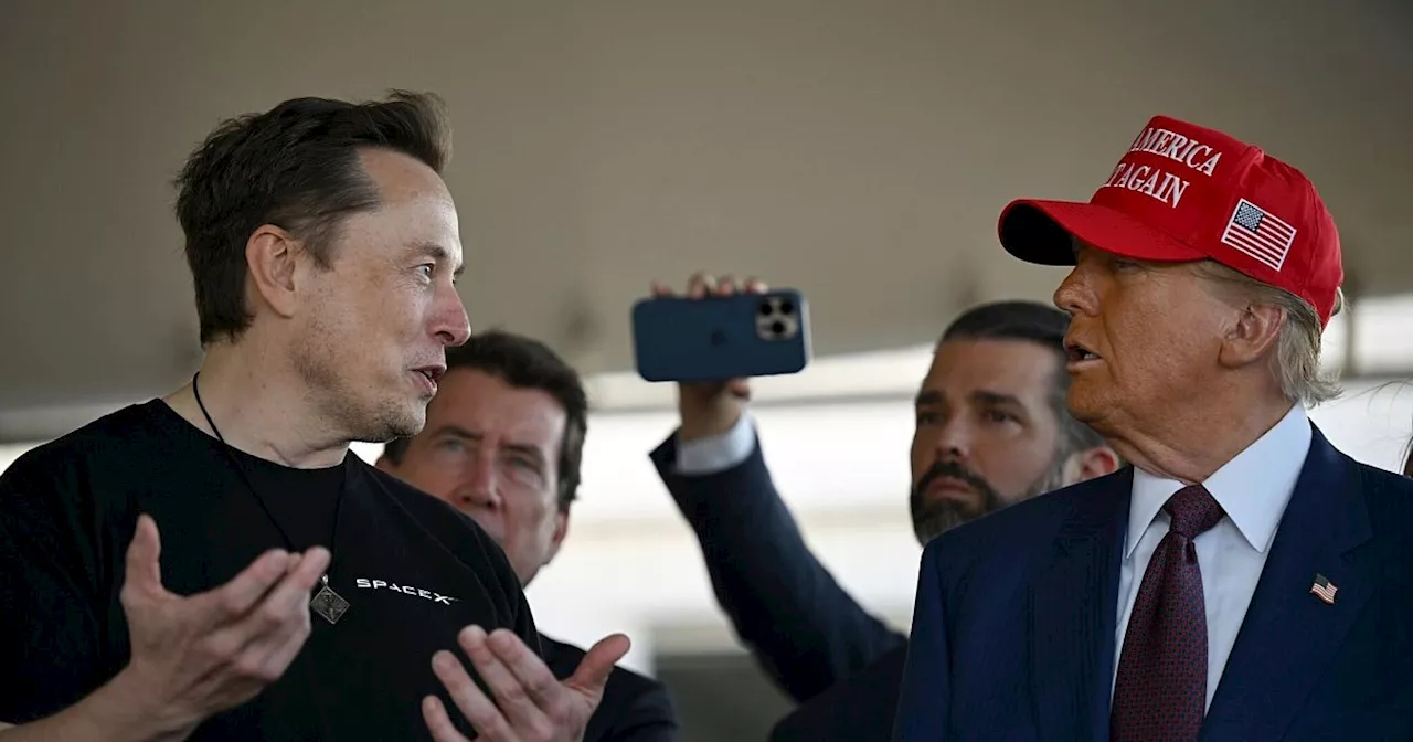 Musk kritisiert Trumps rechte Basis für Einwanderungsansichten