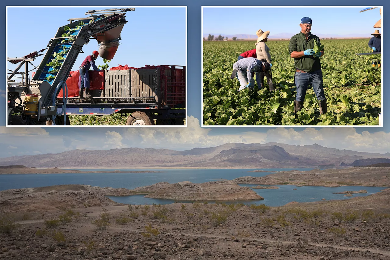 Shrinking Colorado River Threatens US Food Supply