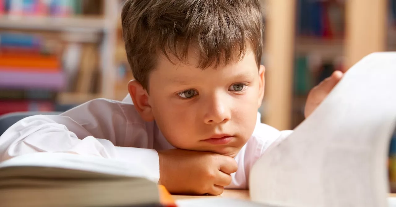 The Boy Crisis: Declining Educational Performance of Boys