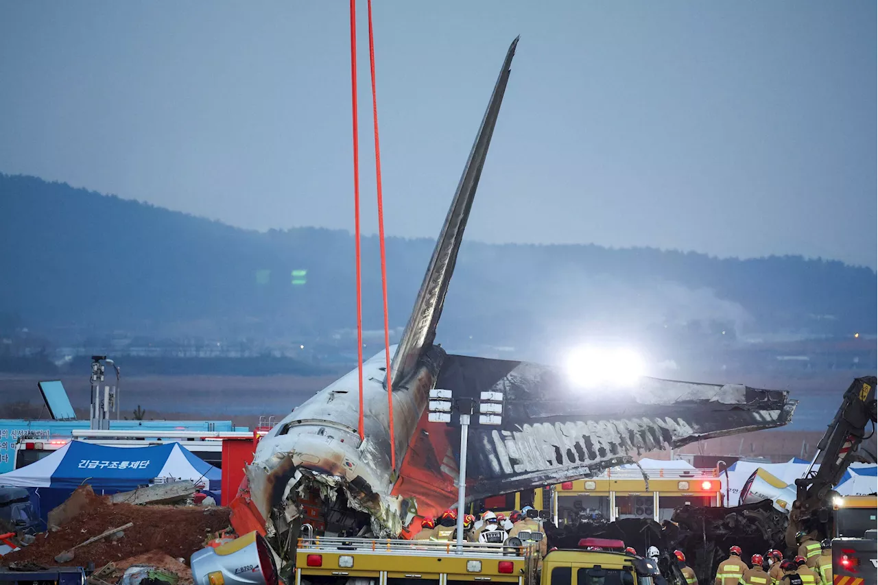 Jeju Air Crash in South Korea: Investigation Launched After Deadly Incident