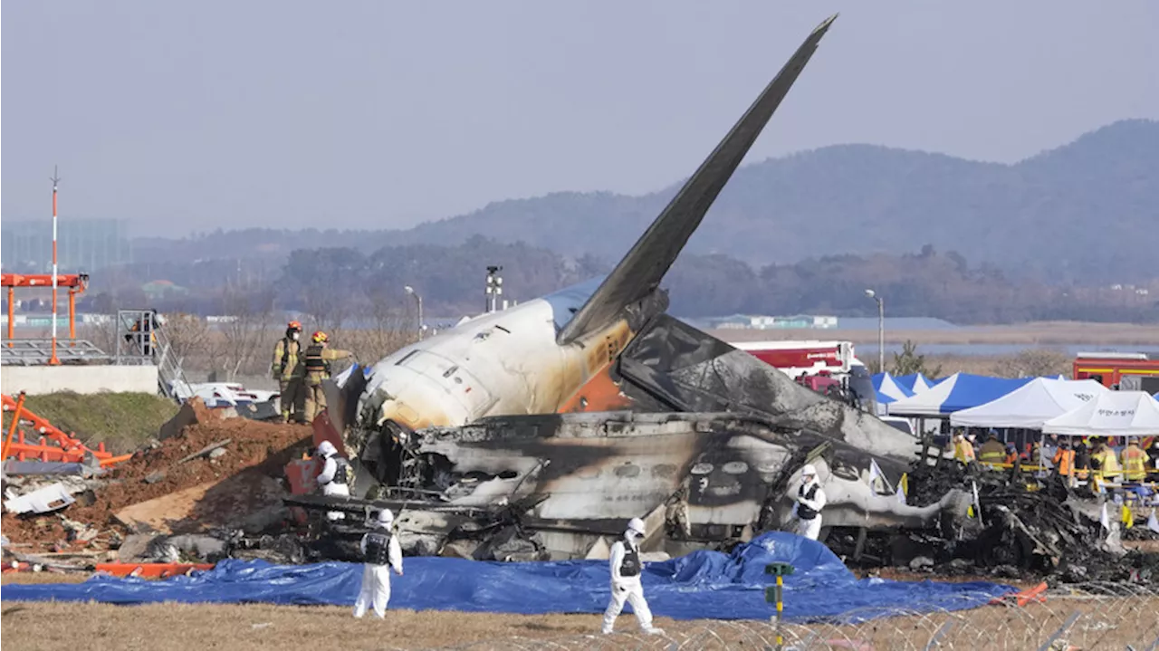 Крушение Boeing 737 в Южной Корее: жертв более 179 человек