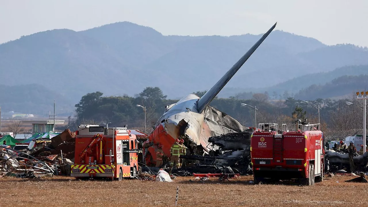 Südkorea: 179 Tote bei Flugzeugunglück