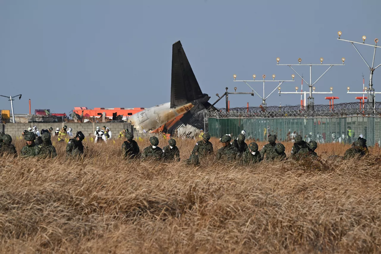 Crash d'avion en Corée du Sud : 179 morts