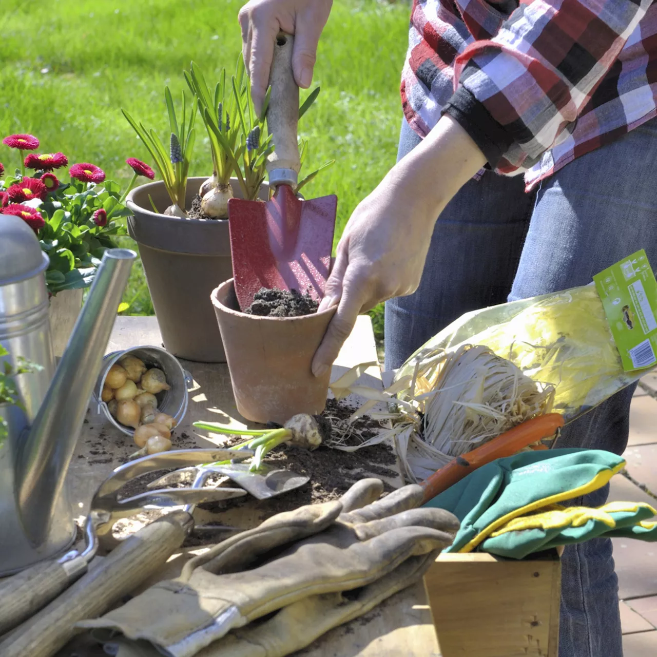 Résolutions pour un Potager Écologique