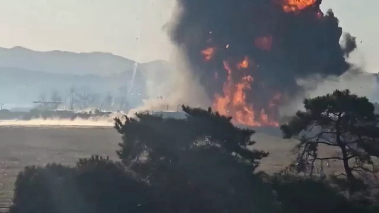 Crash d'un Boeing à l'aéroport de Muan : Collision avec oiseaux suspectée