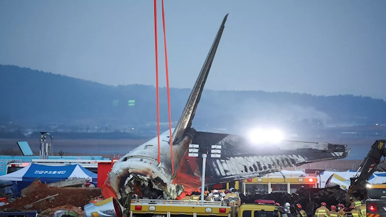 Deadly Crash at Muan International Airport in South Korea