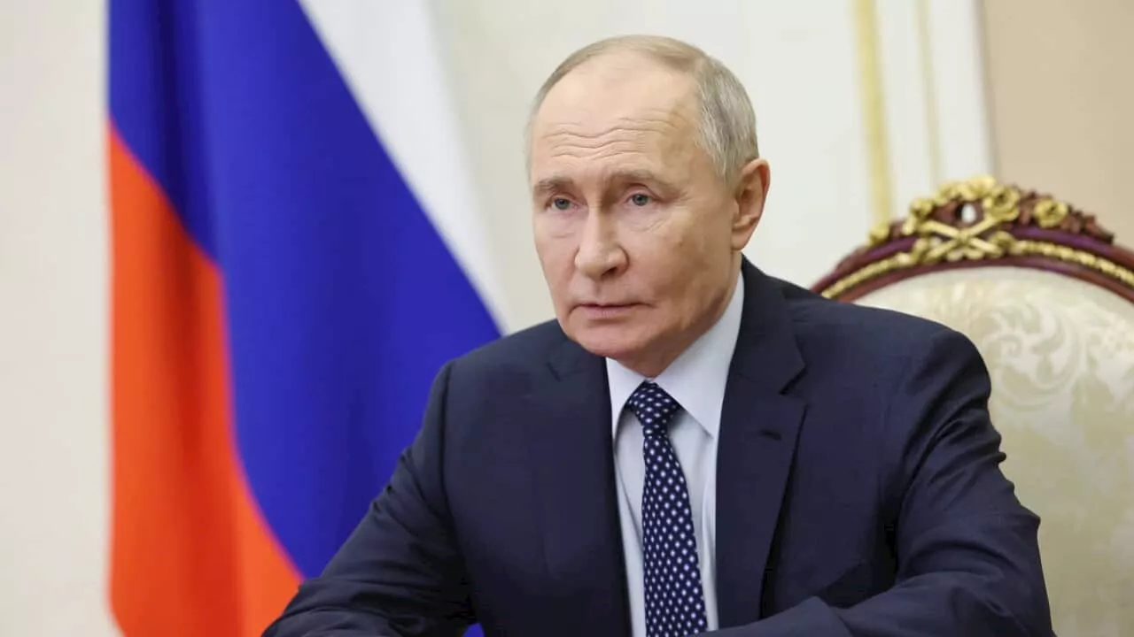 Vladimir Putin apologises to Azerbaijan without claiming responsibility in plane crash