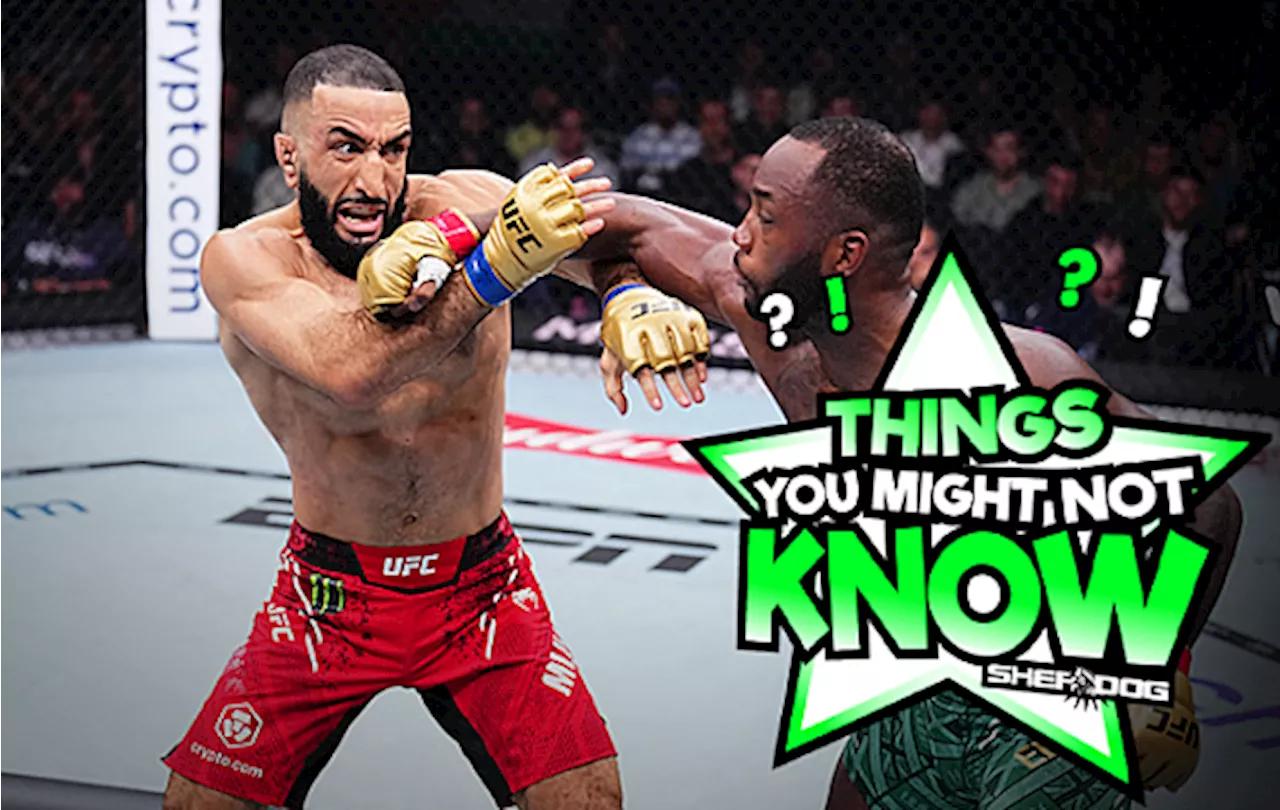 5 Things You Might Not Know About UFC Welterweight Champion