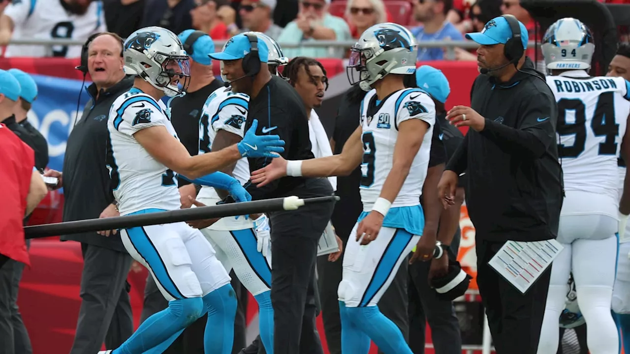 Panthers Fall Short After Desperate Buccaneers Performance