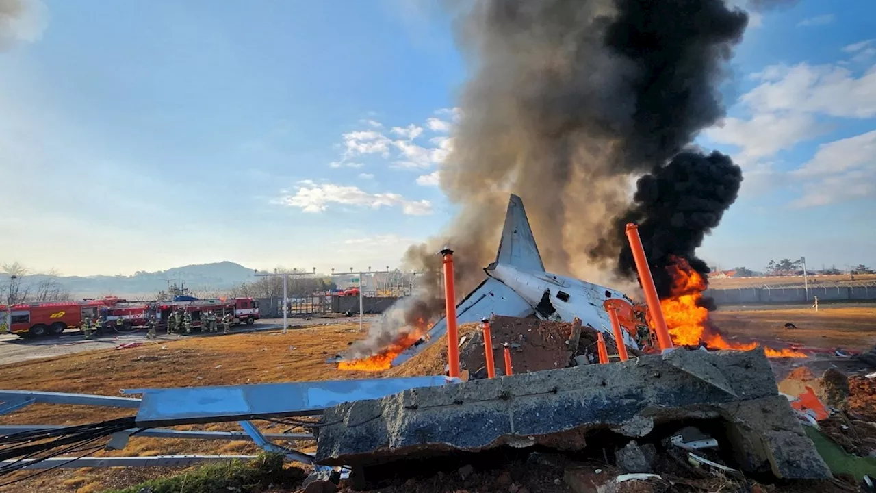 Plane carrying 181 people crashes in South Korea after suspected bird strike