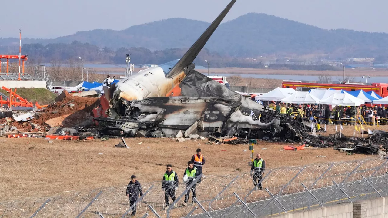 South Korea plane crash: At least 177 killed after suspected bird strike